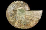 Agatized Ammonite Fossil (Half) - Crystal Chambers #115329-1